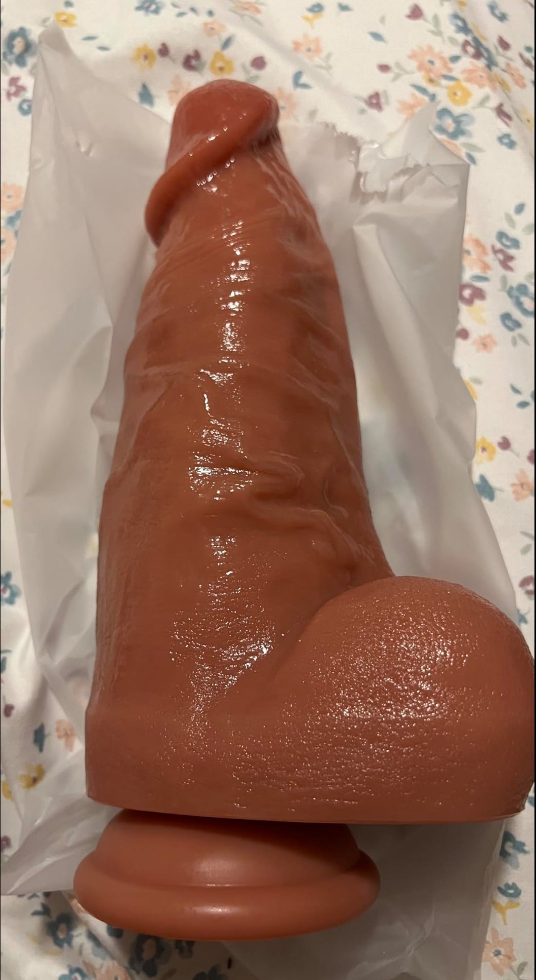 MR Miami Dong! Available Now